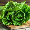 Iceberg, Batavian Lettuce (Lactuca Sativa), Vegetable Seeds, Tender, mild-Flavored, Crisp