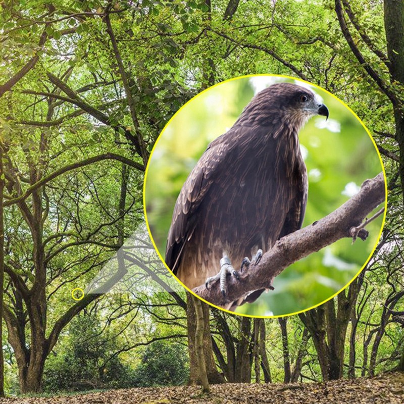 16x52 High Magnification Monocular HD Portable Outdoor Concert Handheld Telescope