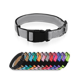Nylon Reflective Collar for Dogs Adjustable pet Collar for Small and Medium-Sized Pets (Grey, S)