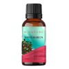 B Nature Aceite Esencial De Wintergreen Gaulteria 100 Ml Bnature