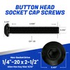 Fastenere Button Head Socket Cap Screws - 1/4-20 x 2-1/2"