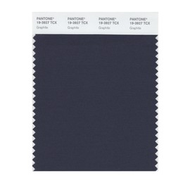 Pantone 19-3927 TCX Smart Color Swatch Card, Graphite
