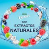Shampoo Caprice Naturals Frutos Rojos y Agua de Coco Red