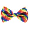 Man of Men - Men's Bowtie - Multi Color Rainbow