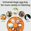 6 Eggs Automatic Egg Incubator Temperature and Humidity LED Display