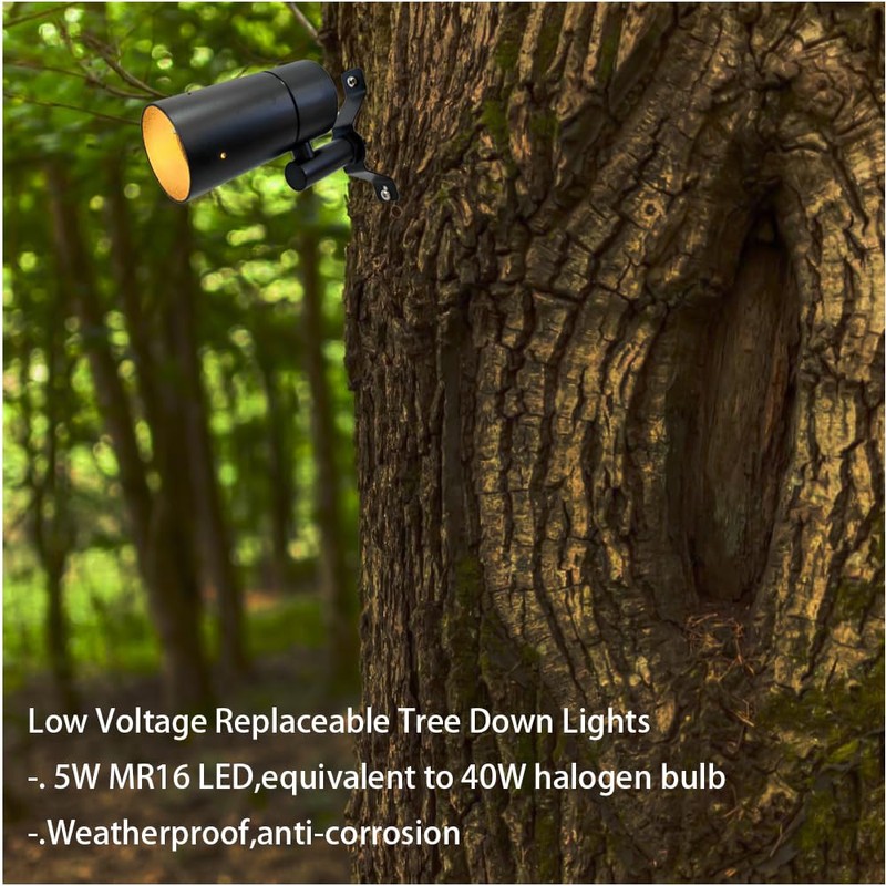 Arrownine Landscape Lighting Down Lights,Moonlight Low Voltage Outdoor Wall Tree