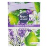 Perfect Scents Lavender & Bergamot Scented Sachets, 20g, Pack of