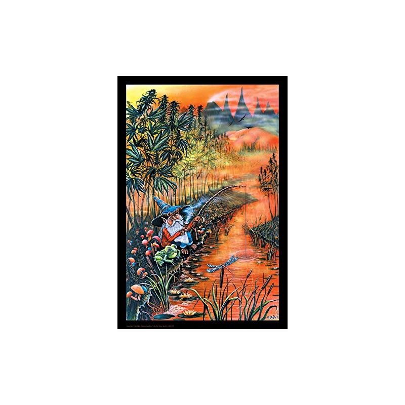 Studio B Gnome Fishin Poster