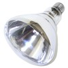 Little Giant® Bulb for Brooder Lamp | Heat Lamp |