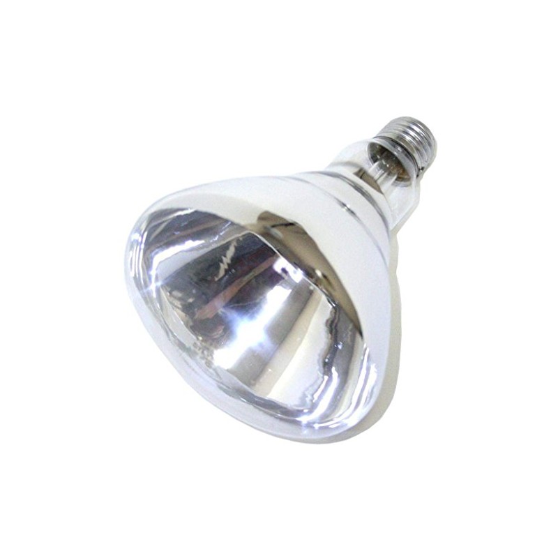 Little Giant® Bulb for Brooder Lamp | Heat Lamp |