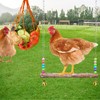 HolyMaji Chicken Catcher, Adjustable Chicken Net Catcher, Chicken Swing and