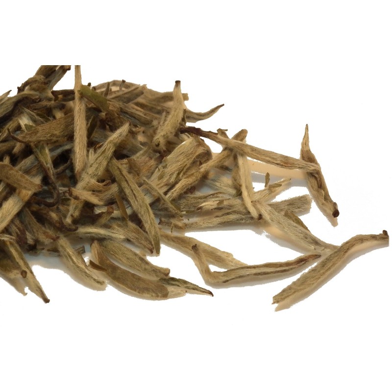 Speciality Tea Taster Sample Loose Leaf 7 Pack Bags by
