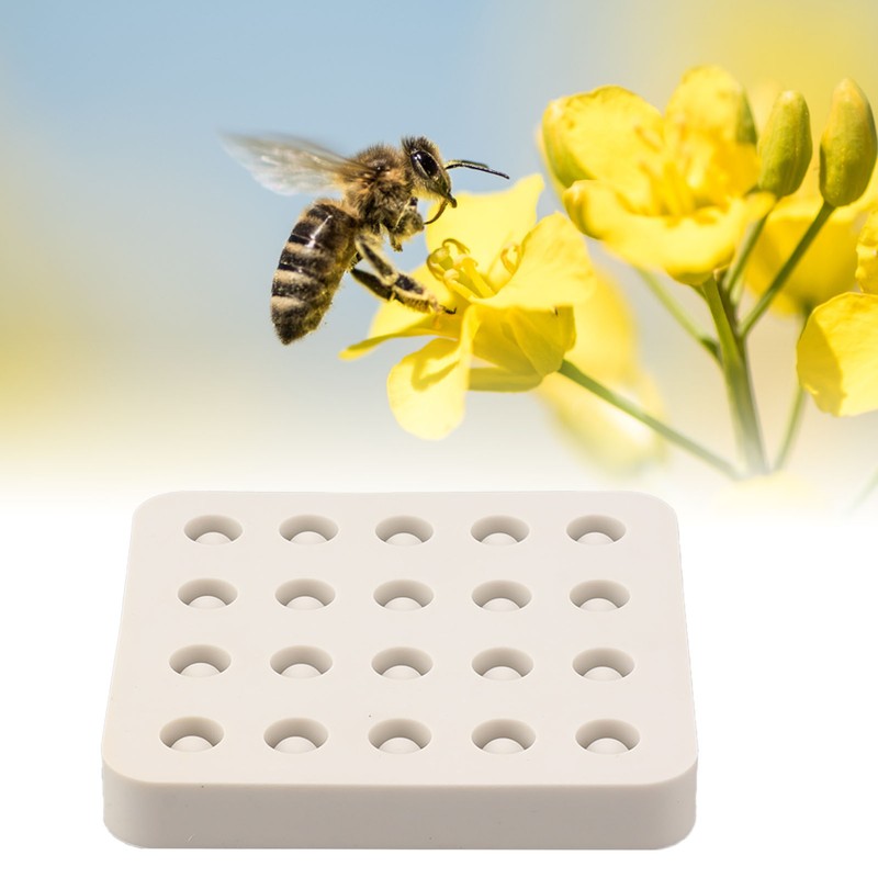Wax Queen Grafting Cups Silicone Mold Beekeeping Beeswax Queen Cell
