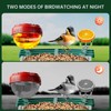 Smart Bird Feeder with Camera Solar Powered, 2.5K HD AI