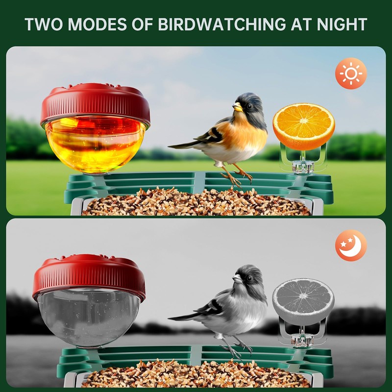 Smart Bird Feeder with Camera Solar Powered, 2.5K HD AI
