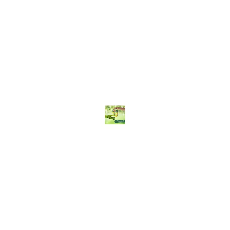 Yerba Mate Campesino 500gr Limón y Menta