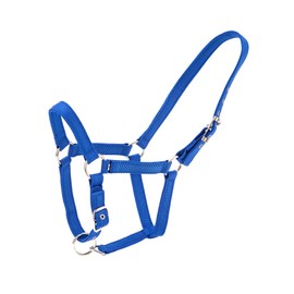 Merauno® Holder Set Trendy Nylon Horse Halter Silver Adjustable Buckle in the Neck and Nose High Quality Polyester Band for Pony Thoroughbred Warmblood (Full, Blue)