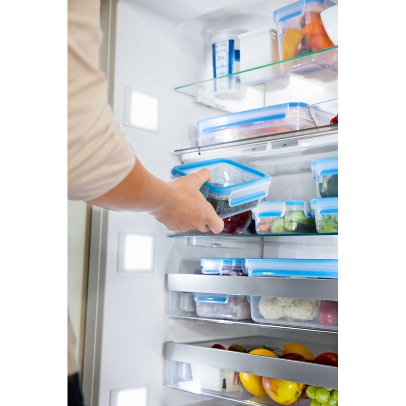 Emsa N1011600 Clip & Close Food Storage Containers, 2-Piece Set,