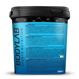 Bodylab24 Whey Protein Pulver, Fruchtmix, 1kg