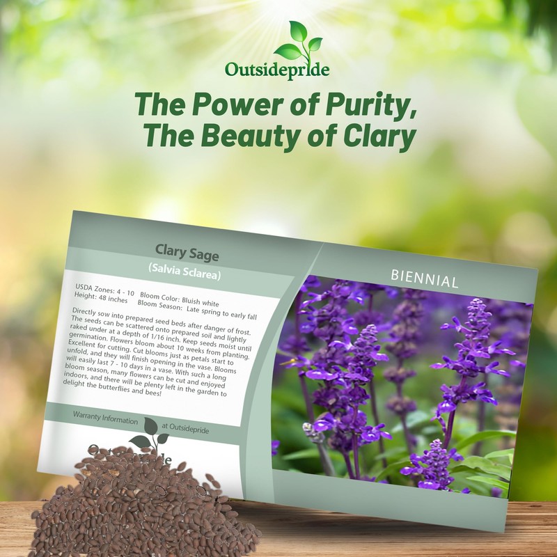 Outsidepride Clary Sage Seeds - 1000 Pcs. Biennial, Easy to