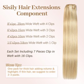 Sisily Clip in Hair Extensions Real Human Hair, Premium Human Hair Clip in Extensions Dirty Blonde to Bleach Blonde Highlight, Soft Straight Hair Extensions Real Human Hair Clip ins 7PCS （12 Inch）