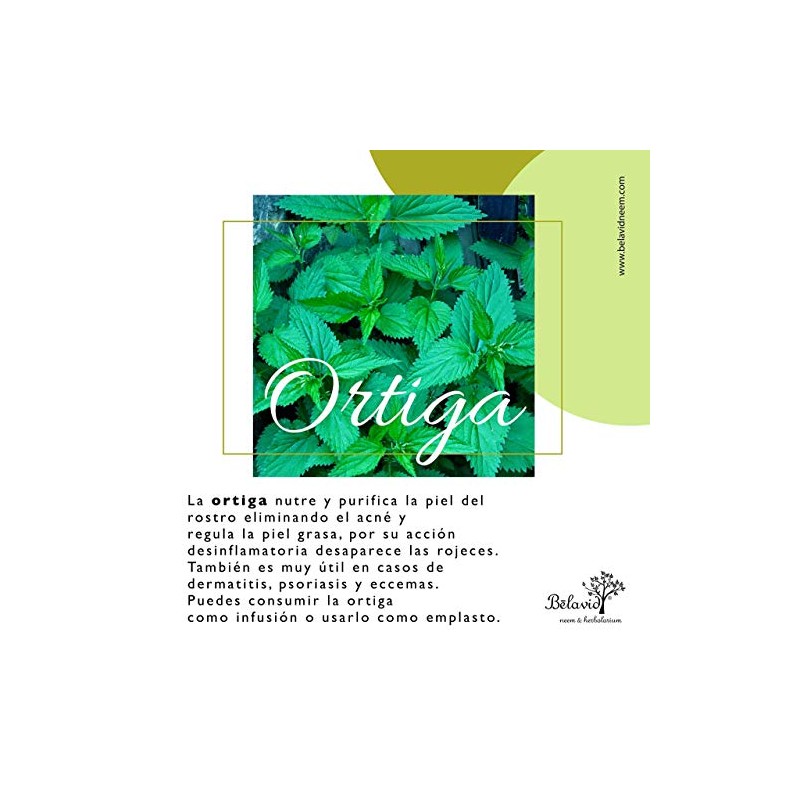 Shampoo Neem anticaida 350ml Tonico capilar ortiga 60ml
