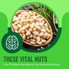 Raw Pine Nuts 48oz (3 lb) | Whole and Natural