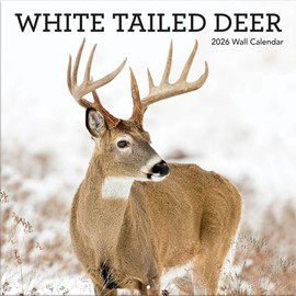 TURNER PHOTOGRAPHIC White-Tailed Deer 12x12 Photo Wall Calendar (26998940059)