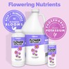 TPS NUTRIENTS Flower Fertilizer, Flowering Plant PK Bloom Booster, Liquid