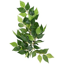 Exo Terra Silk Terrarium Plant, Small, Ficus