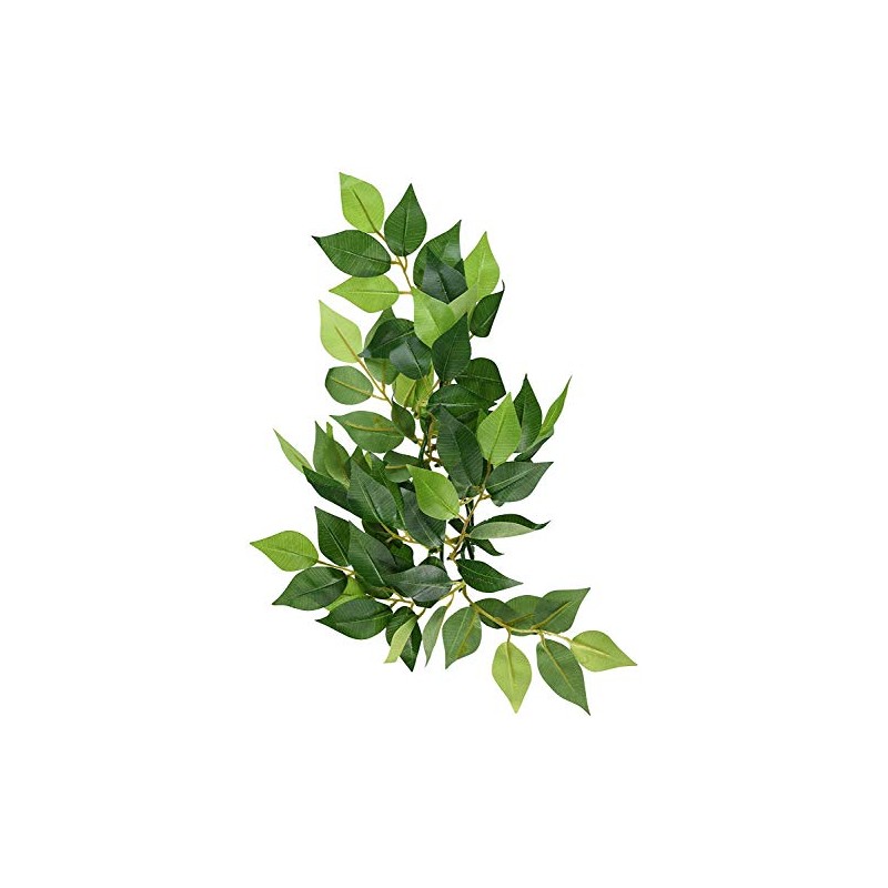 Exo Terra Silk Terrarium Plant, Small, Ficus