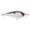 Berkley Spin Bomb Fishing Bait 60, 2/5 oz, Mf Shad,