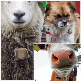 6 pcs Small Cow Bell for Dog Collar with Leather Strap, Bear Warning Bell, Loud Cowbell, Anti-Lost Grazing Copper Training Bells, Pet Tracker Noise Maker for Puppies Cat Horse Sheep Goat