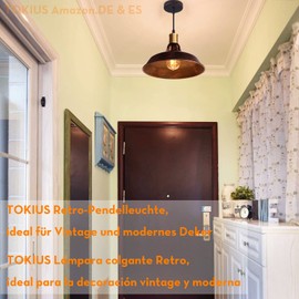 TOKIUS TOKIUS Retro pendant light, ?27cm hanging lamp, vintage industrial style metal ceiling light, E27 socket, hanging light for dining room, kitchen, restaurant (rust copper, 1 piece)