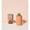 Modern Sprout Terracotta Grow Kits - Plant Type: Coastal Palm