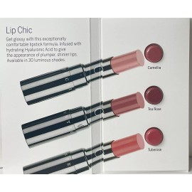 CHANTECAILLE Lip Chic Lip Color 3 shads Sample card 3g each NEW!!