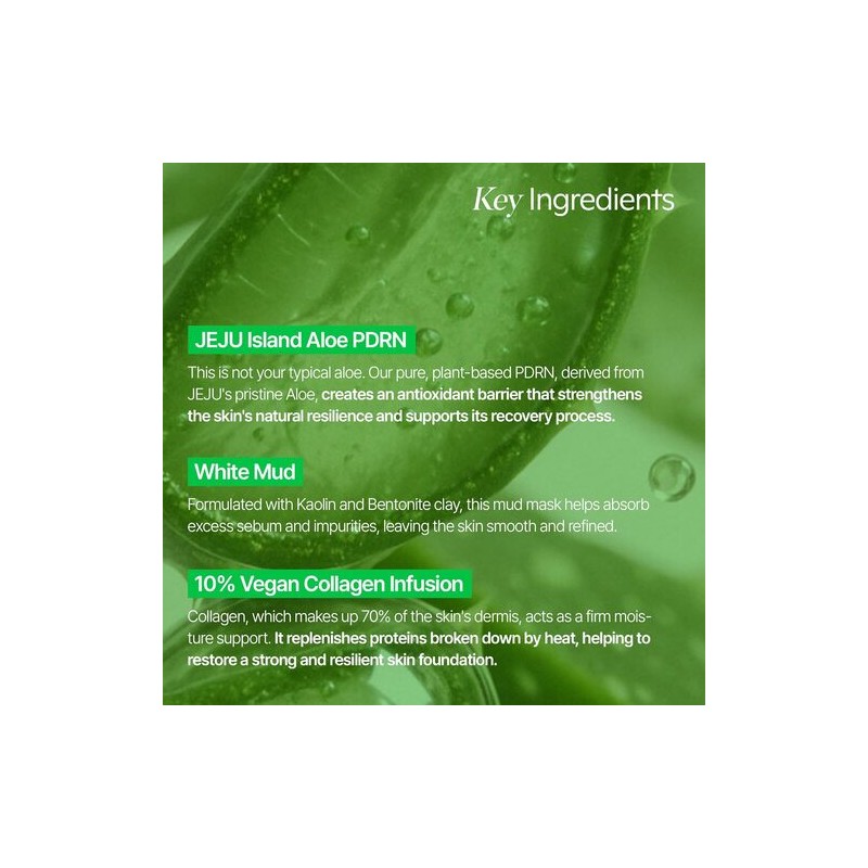 shaishaishai [shaishaishai]Aloe PDRN Cooling Mud Mask 100ml
