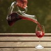 [Fool’s Love] 1 Tasting Handle Type Wine Decanter / [바보사랑]테이스팅 손잡이형 와인디켄터 1개