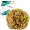 Exfoliating Natural Sponge for Bathing | Bath Sea Sponge for