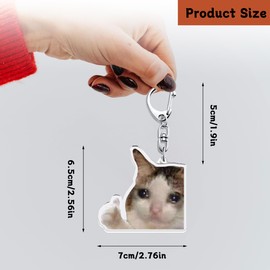 Jaailee 9Pcs Cat Keychain for Internet Meme Lover Gifts Funny Keychain Cute Meme Charms Stuff for Decor Backpacks Keyrings Car Accessories for Adults