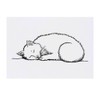 'Cat Napping' Temporary Tattoo - Water Resistant, Skin-Safe, Non-Toxic Transfer