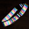 VET GOODS HEAVY DUTY REFLECTIVE BELT (Rainbow), Rainbow, Adjustable
