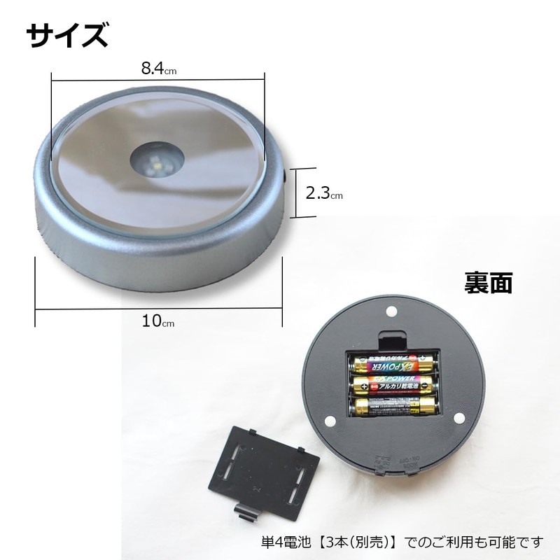 Herbarium Light Coaster LED Pedestal Axta Christmas Rainbow Display Stand