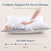Feather Down Pillows Queen Size Set of 2, Luxury Hotel
