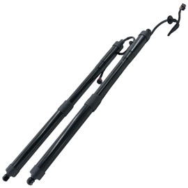 Torquizo 817702W600 Rear Left Right Tailgate Power Lift Support 2PCS Compatible with Hyundai Santa Fe Sport 2.0L 2.4L 2015-2018