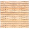 Dropfree 12 x 30 cm wooden ruler, school ruler, office