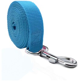 TAIAN 5 FT Strong Dog Leash, Nylon Dog Leashes for Small Medium Large Dogs Blue