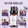 Dekure French Lavender Essential Oil 10ml -100% Pure Natural Oil-