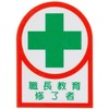 Japanese Green Cross Helmet Sticker HL-88 Foreman Education Completion Set