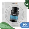 Suplemento Zinc Vitamina Jengibre Cápsulas Endaroo